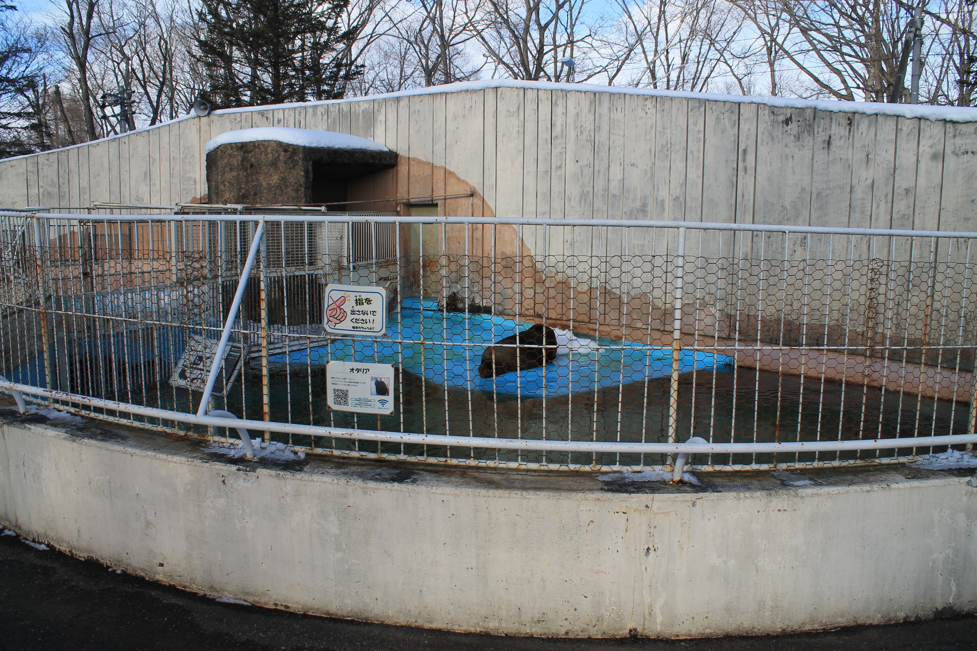 South American Sealion enclosure, Kushiro Zoo