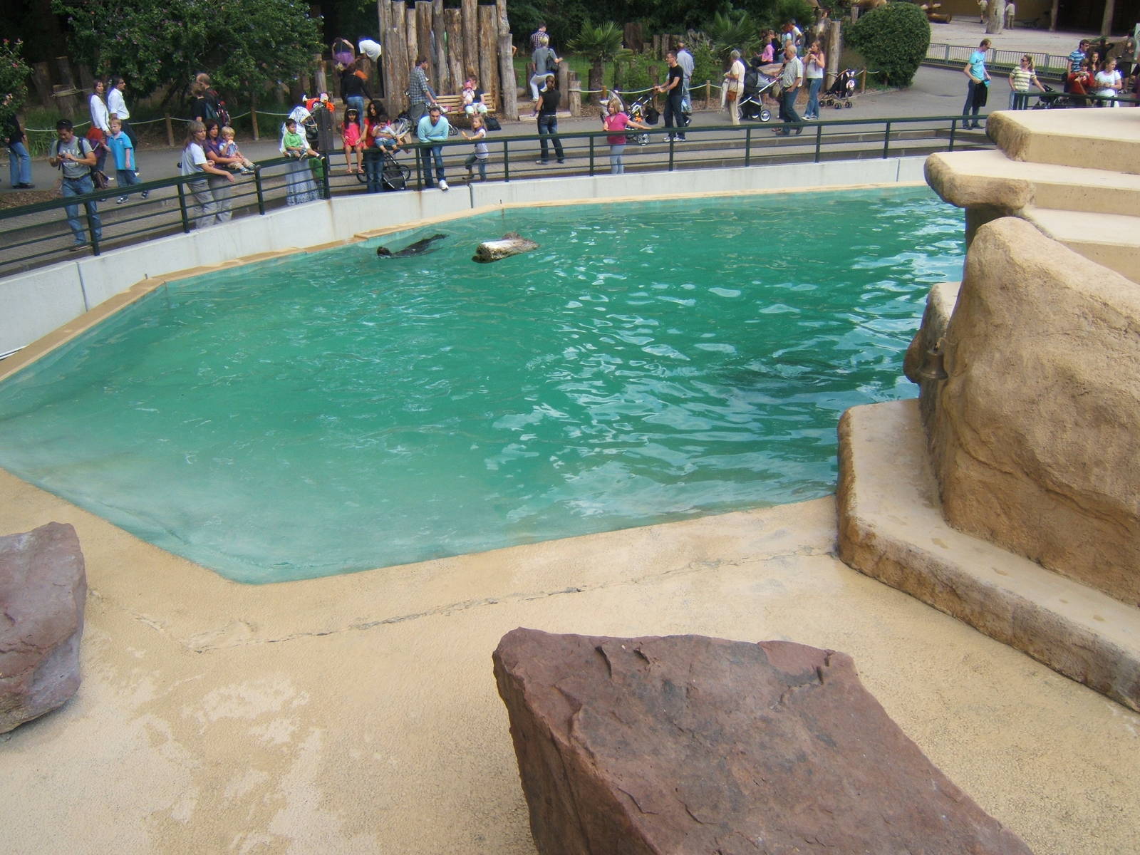 South American Sealion enclosure