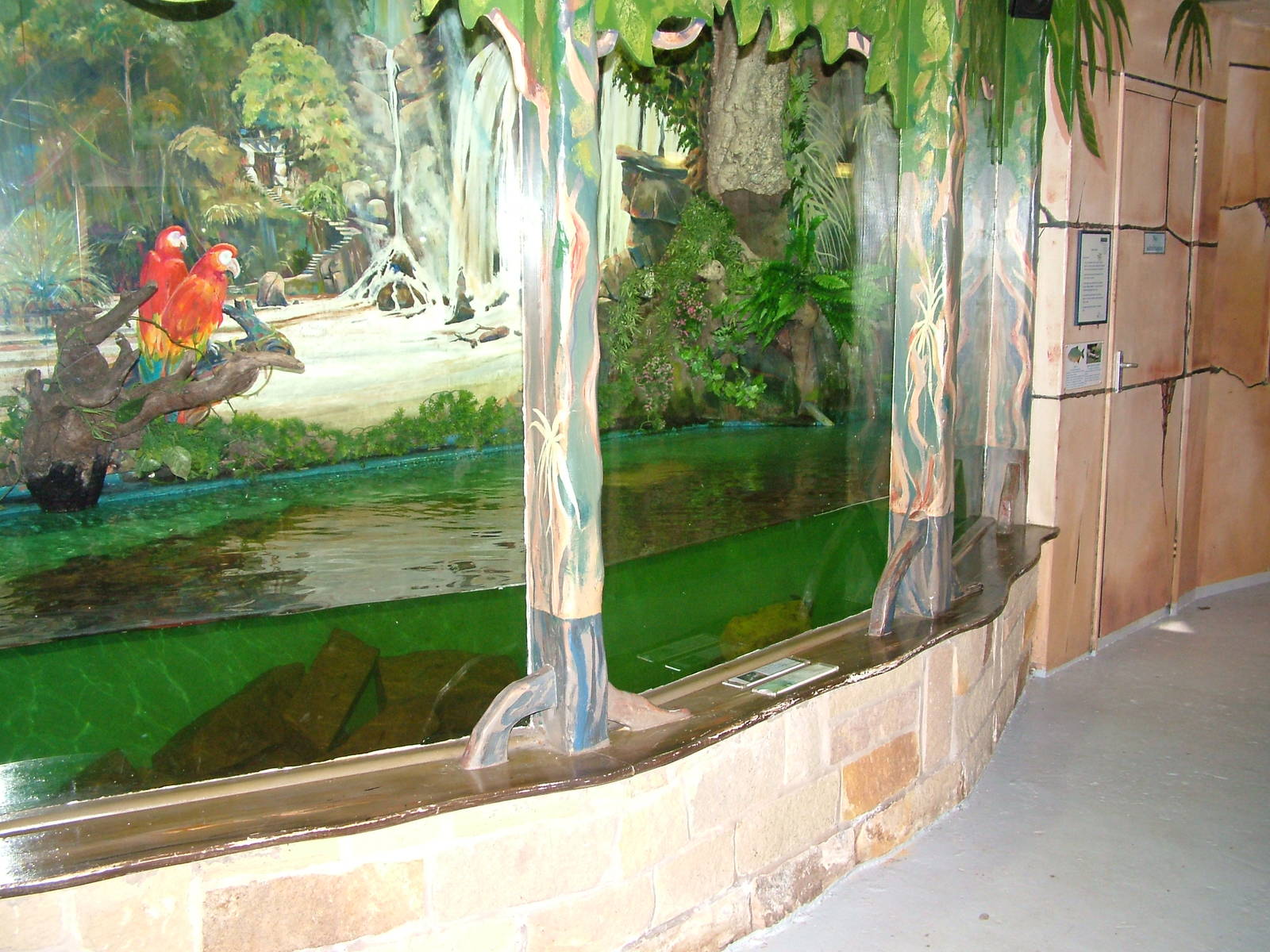 South American Tank at Matlock Bath Aquarium 14/02/10