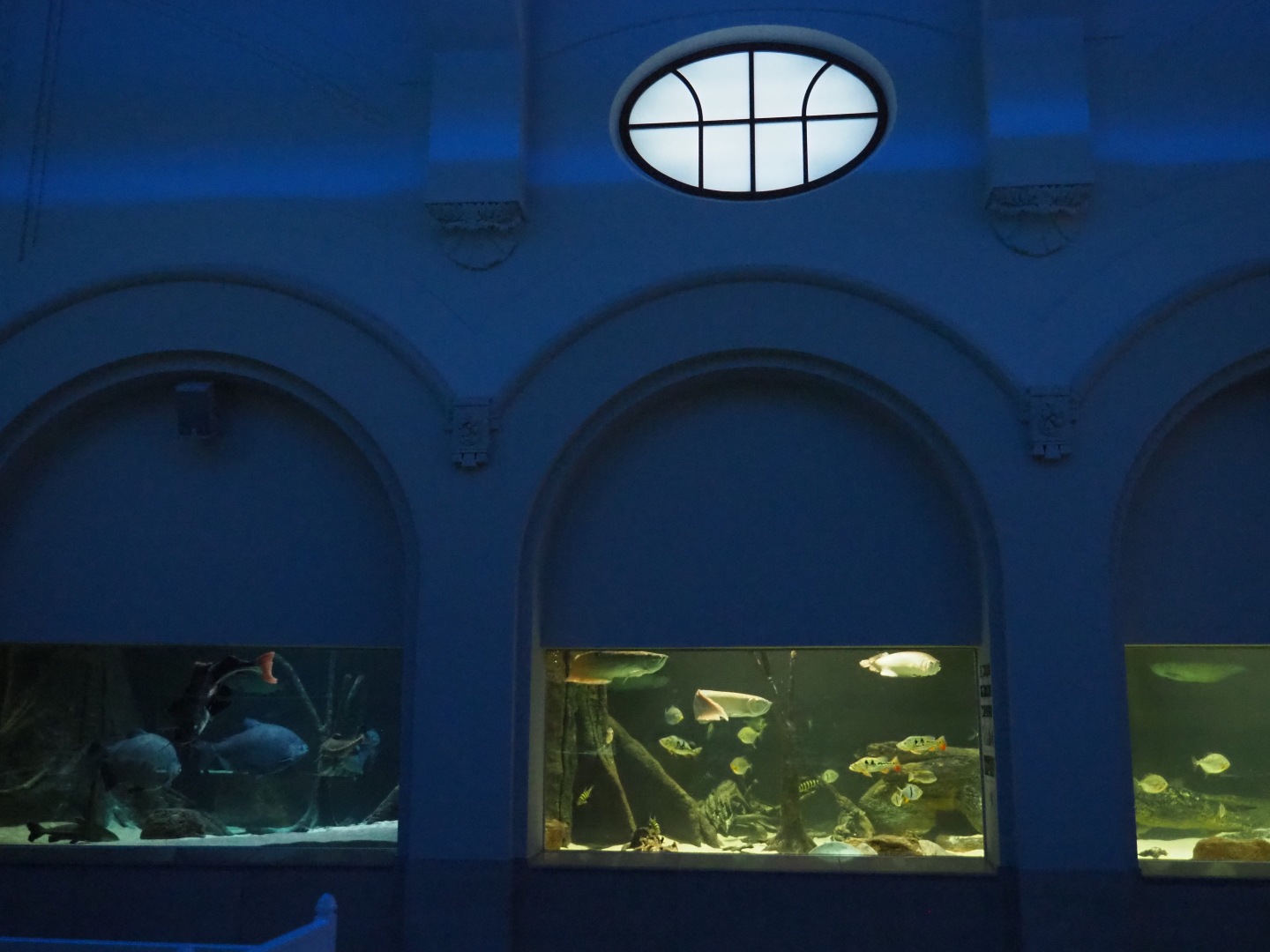 South American tanks, 2020-06-28