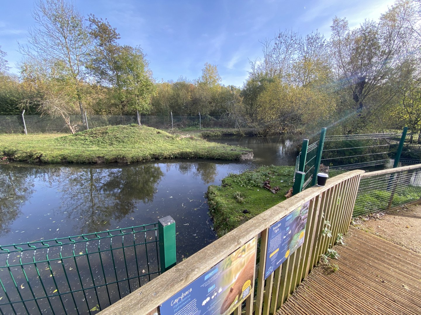 South American tapir and Capybara enclosure 071121