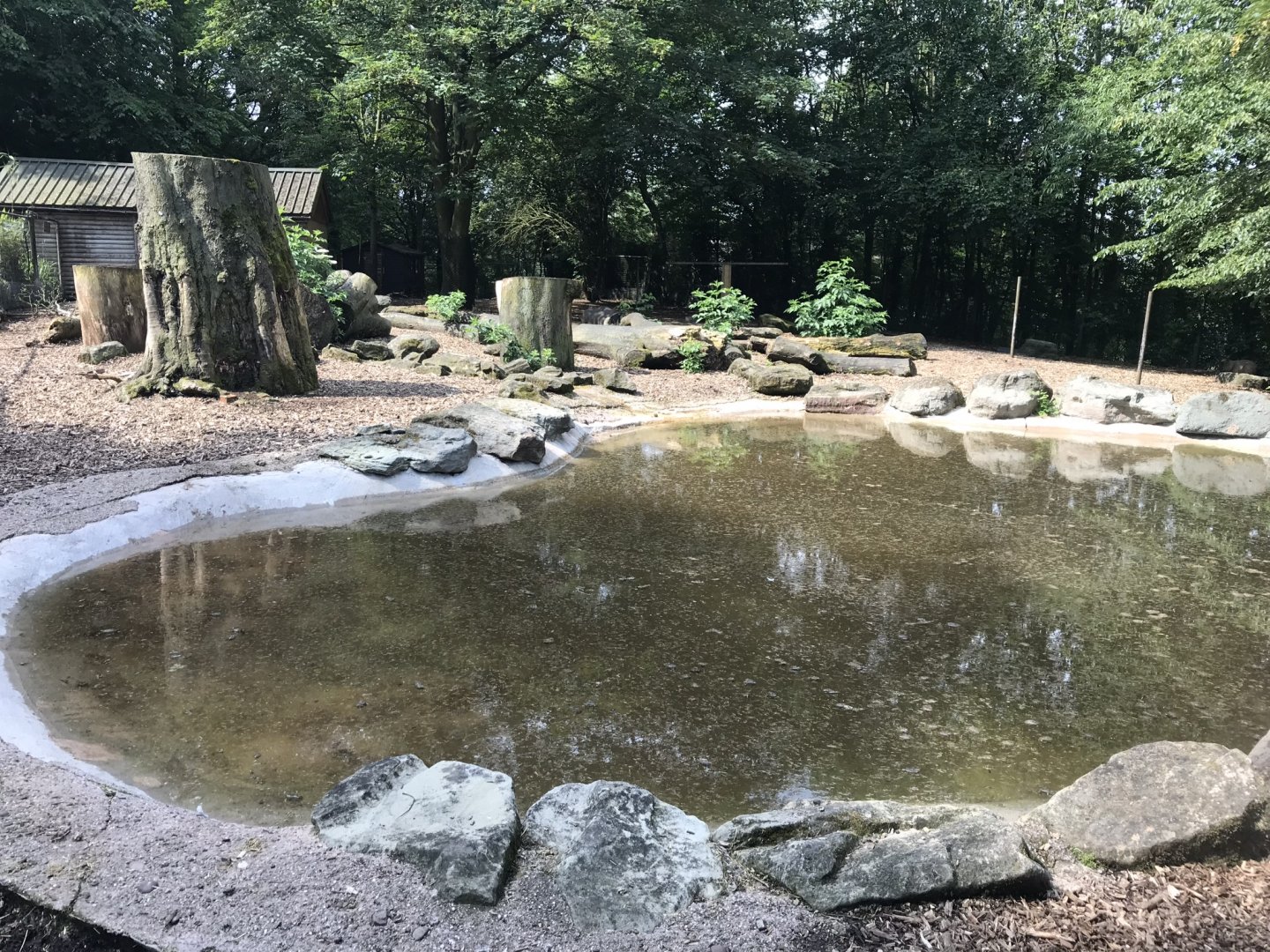 South American tapir and capybara enclosure 230619