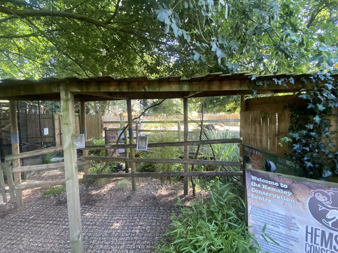 South American tapir and Capybara enclosure 290723