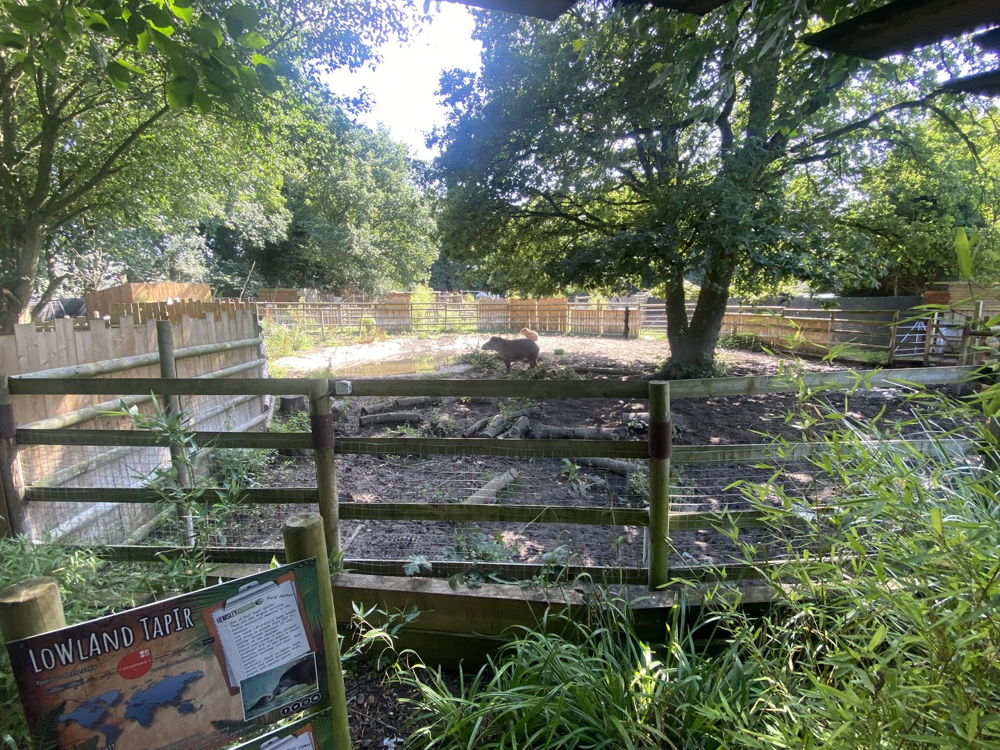 South American tapir and Capybara enclosure 290723