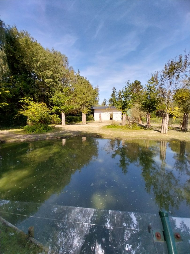 South American tapir and capybara enclosure