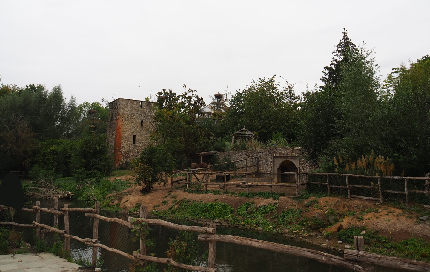 South American tapir and capybara exhibit, 2020-09-03