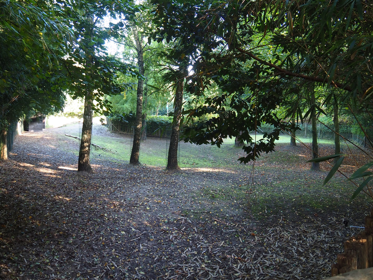 South American tapir and Capybara exhibit - Open forest section, 2022-10-09