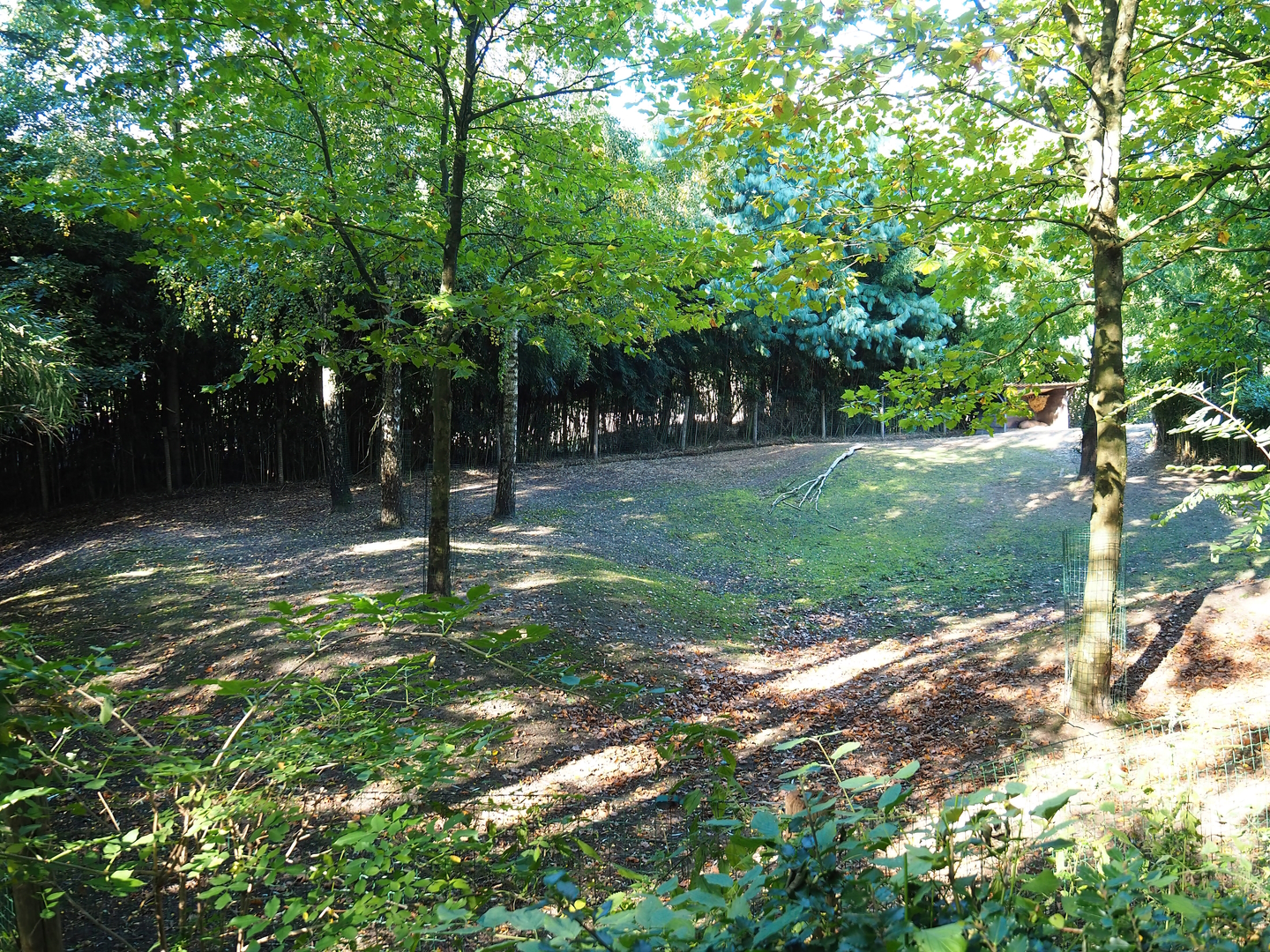 South American tapir and Capybara exhibit - Open forest section, 2022-10-09