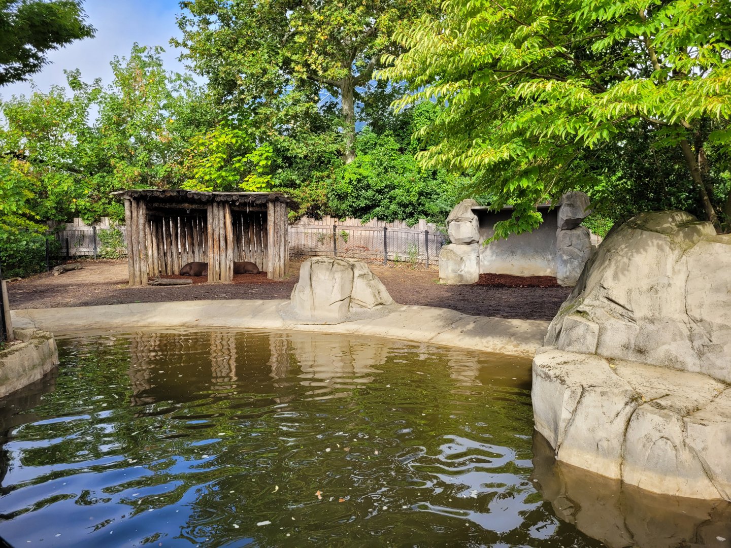 South American tapir and Capybara exhibit -Parc Zoologique de Paris (2022)