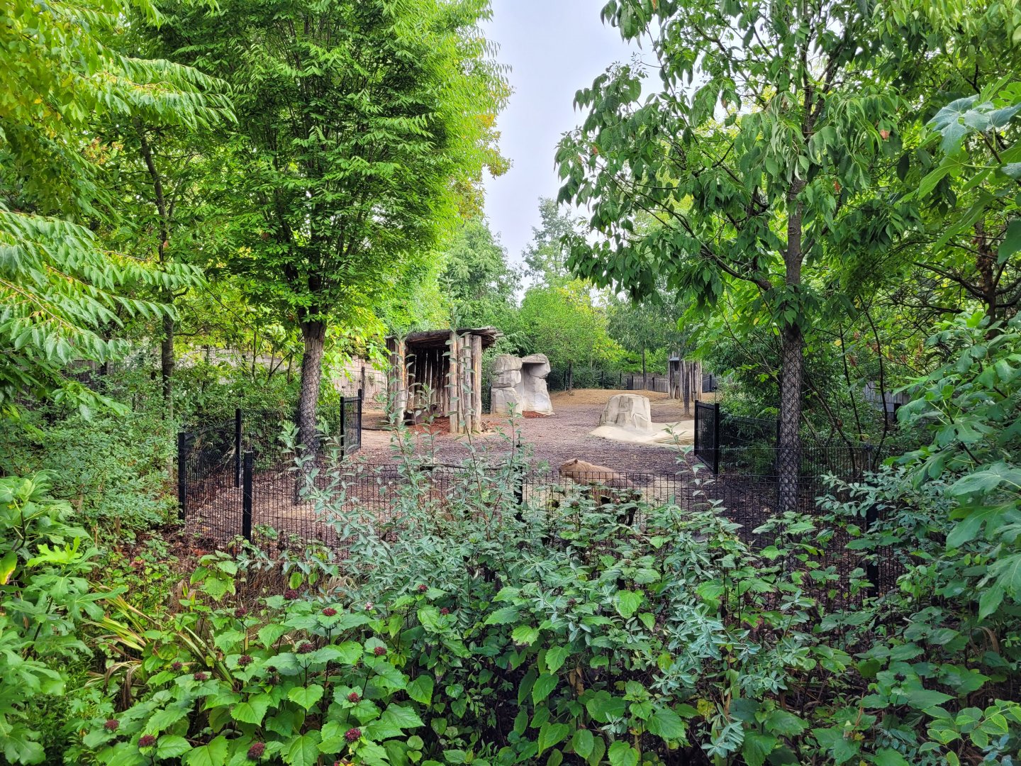 South American tapir and Capybara exhibit -Parc Zoologique de Paris (2022)