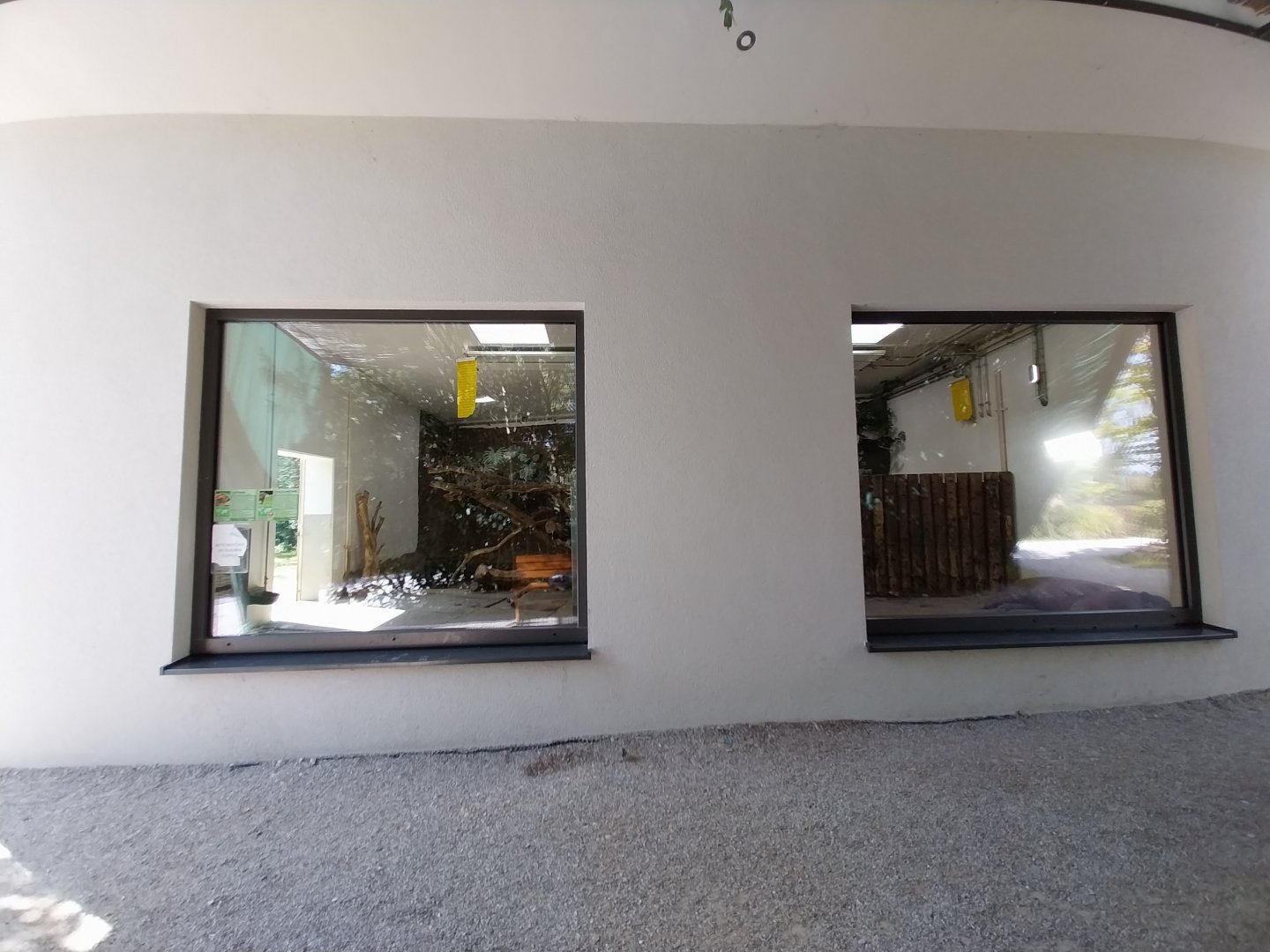 South American tapir and capybara House