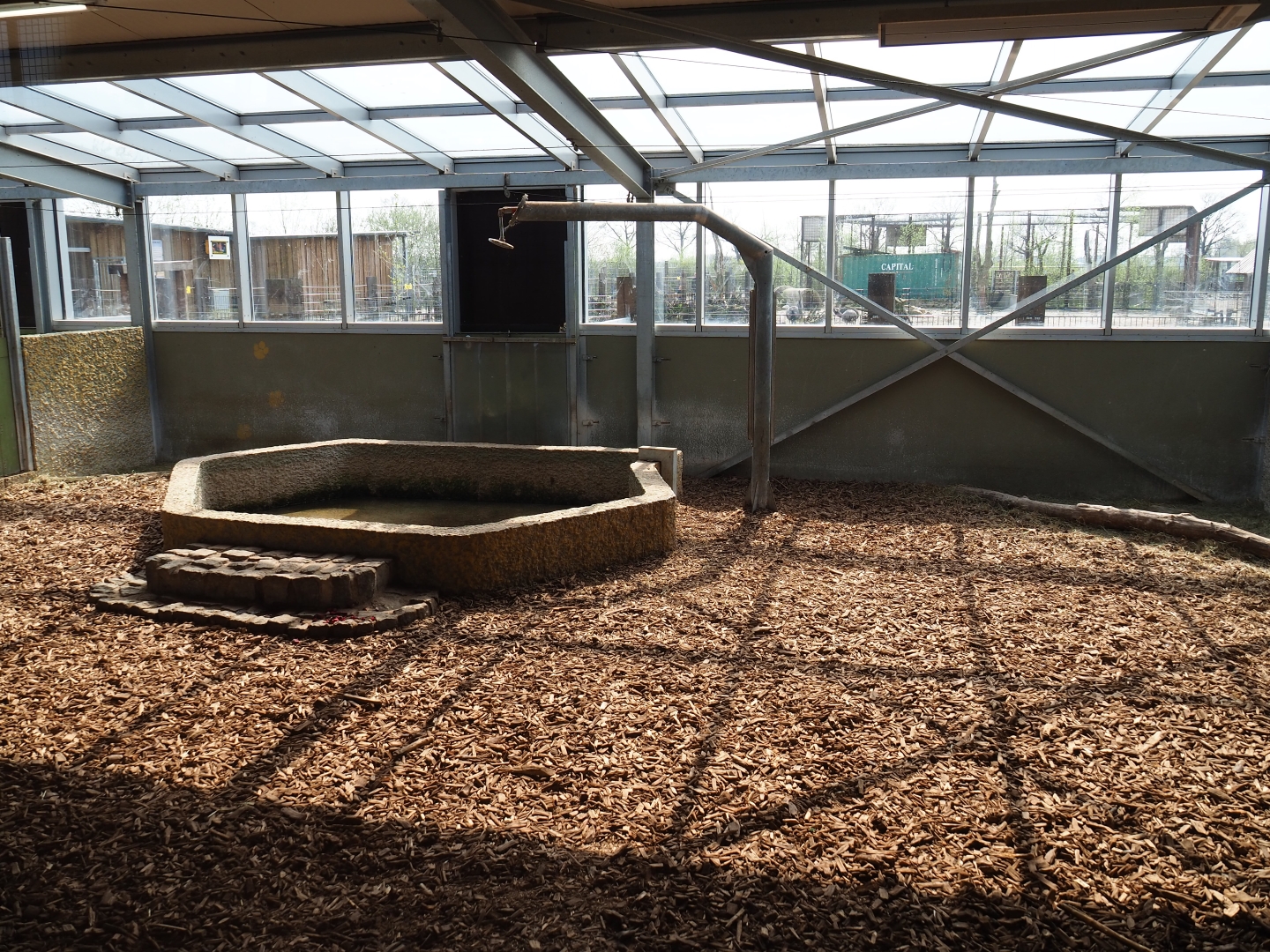 South American tapir and capybara indoor housing, 2019-04-06