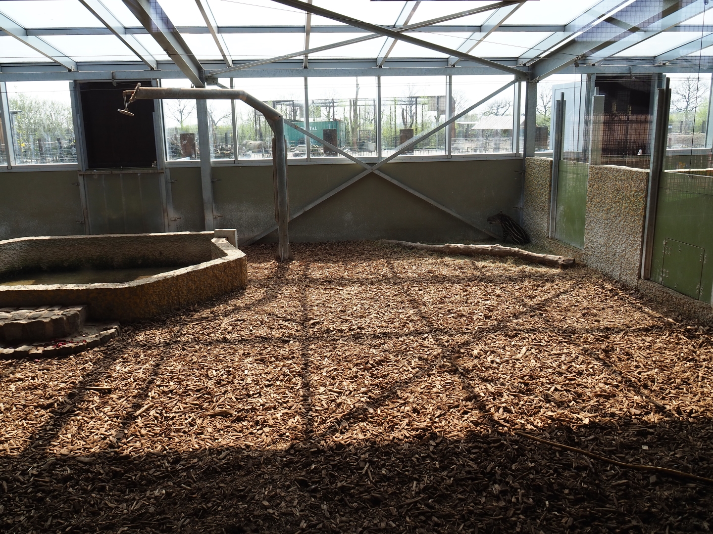 South American tapir and capybara indoor housing, 2019-04-06