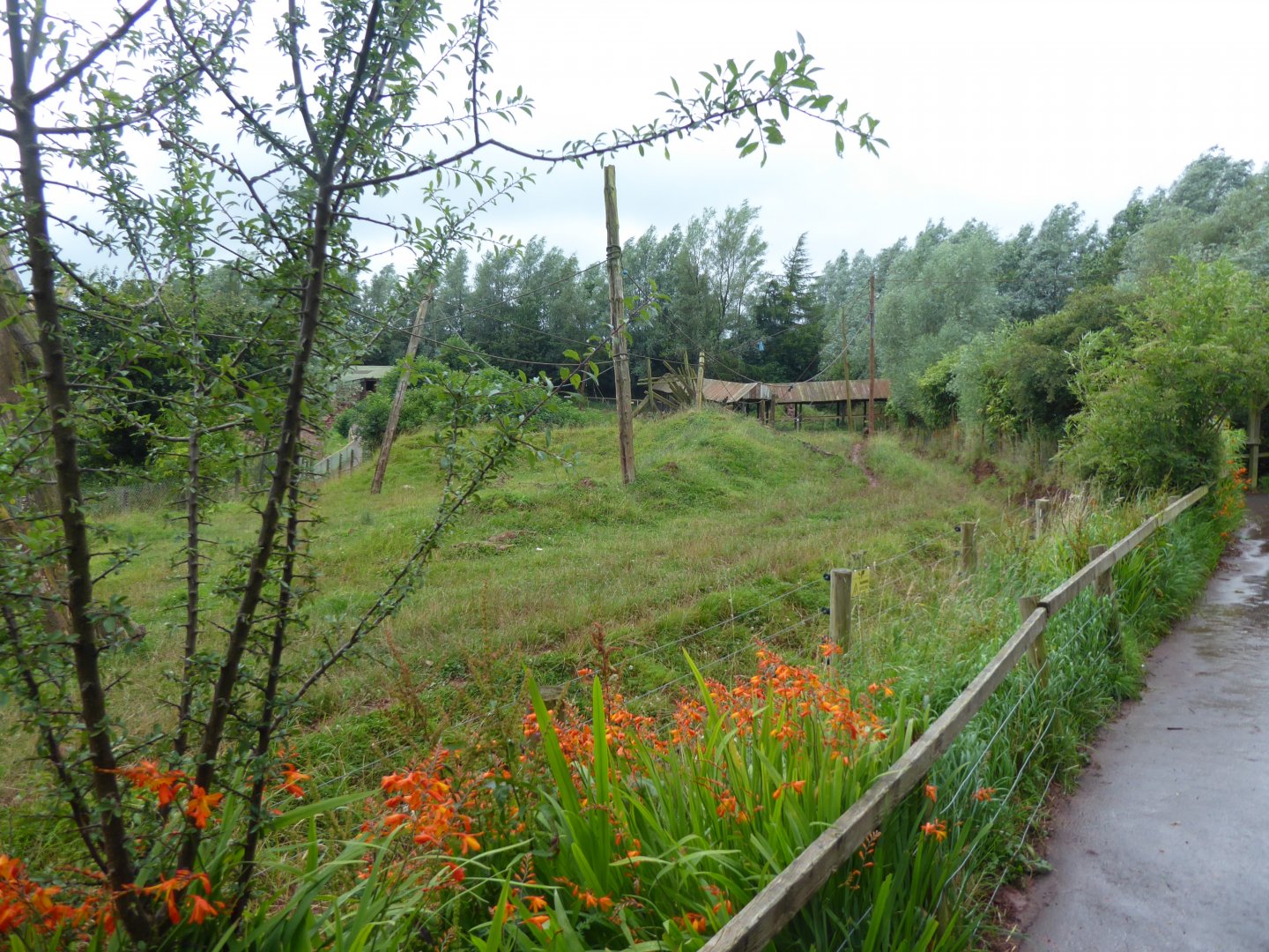 South American tapir and Maned wolf enclosure 020817