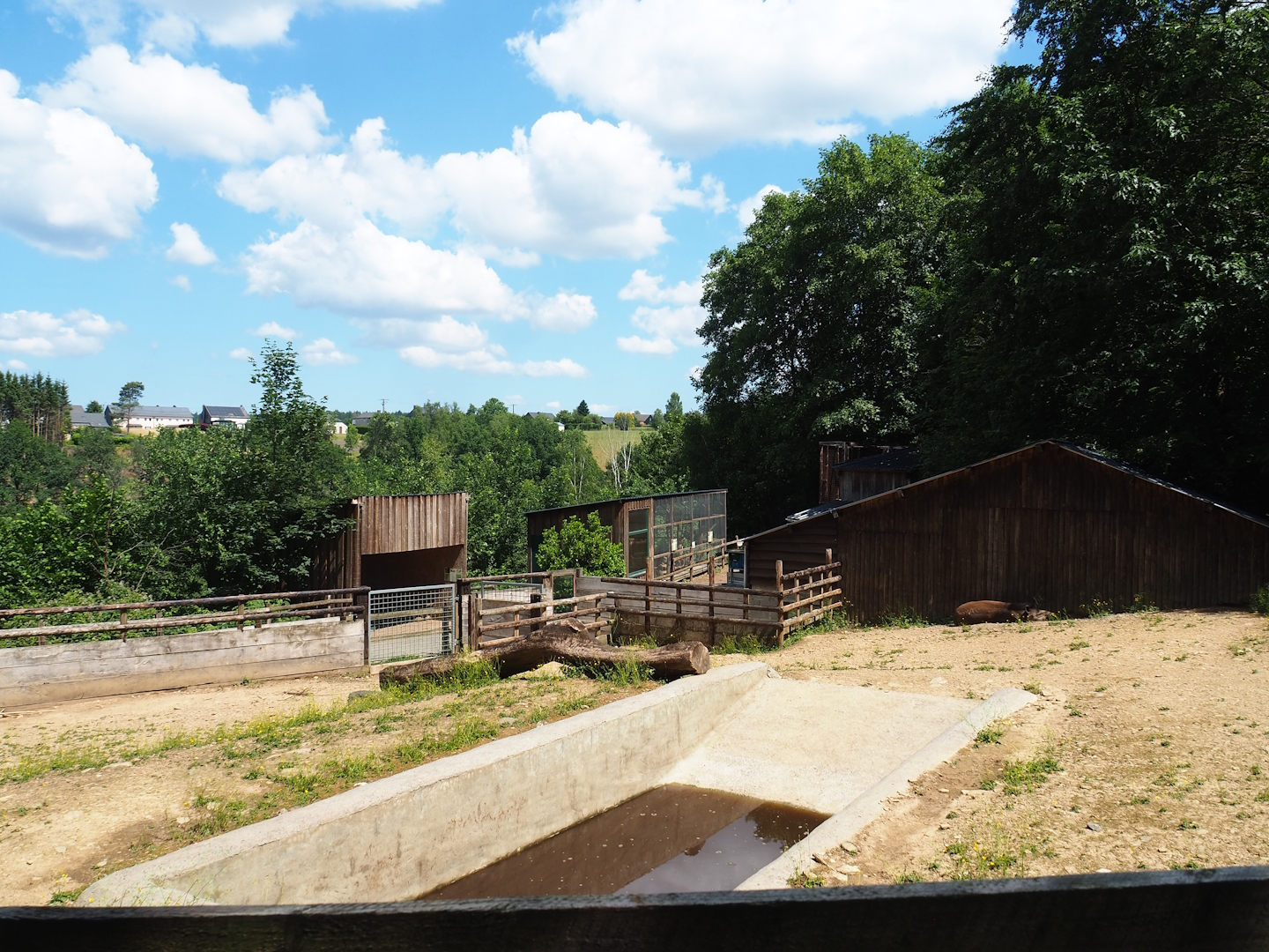 South American tapir and Patagonian mara paddock, 2023-06-24