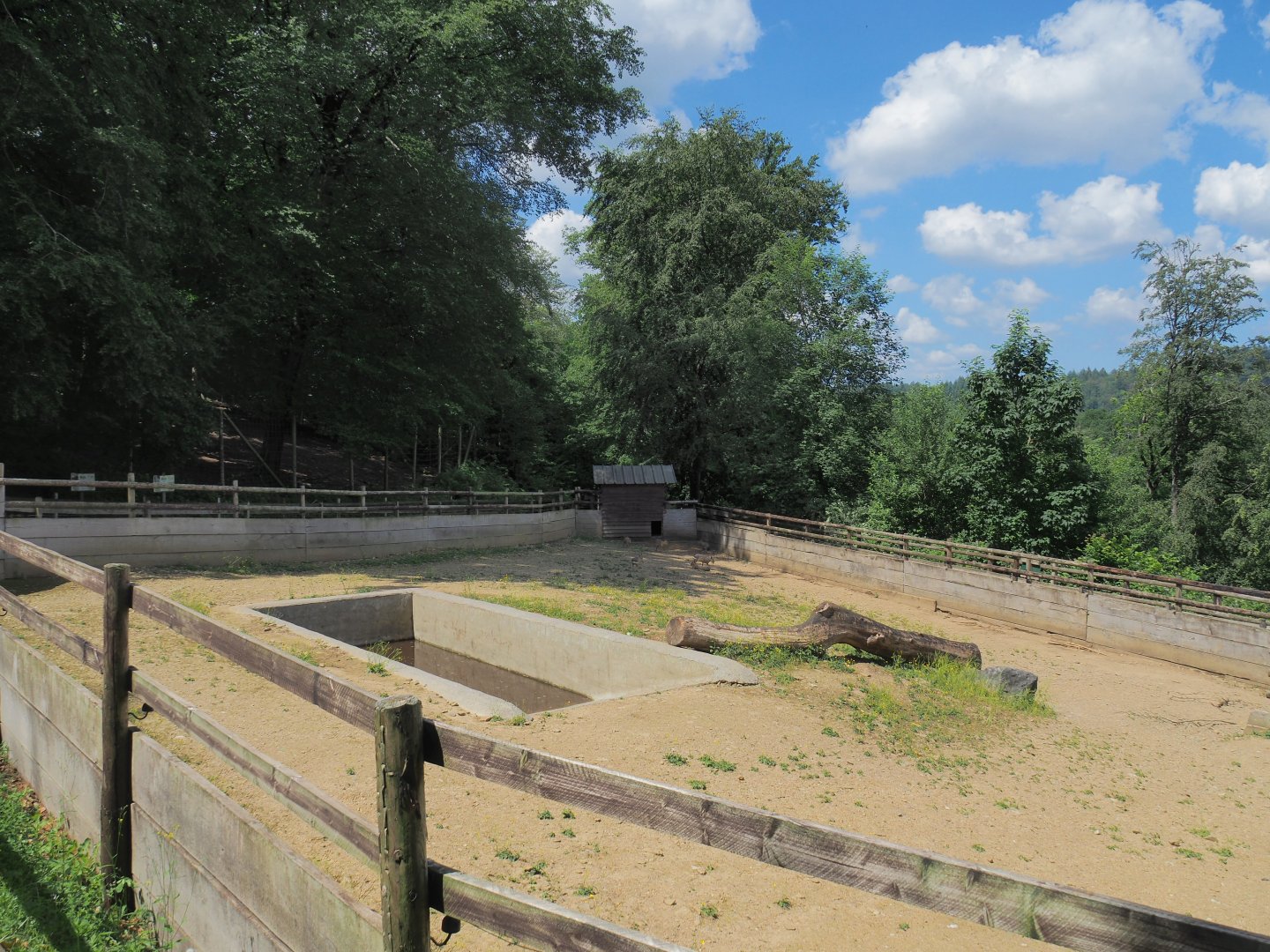 South American tapir and Patagonian mara paddock, 2023-06-24