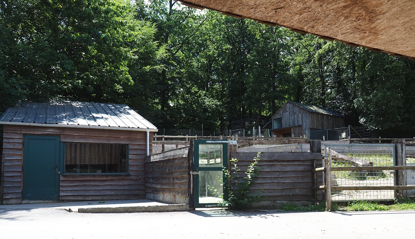 South American tapir barn and holding area, 2023-06-24