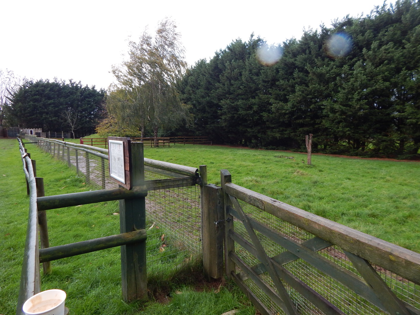 South American tapir enclosure 051122