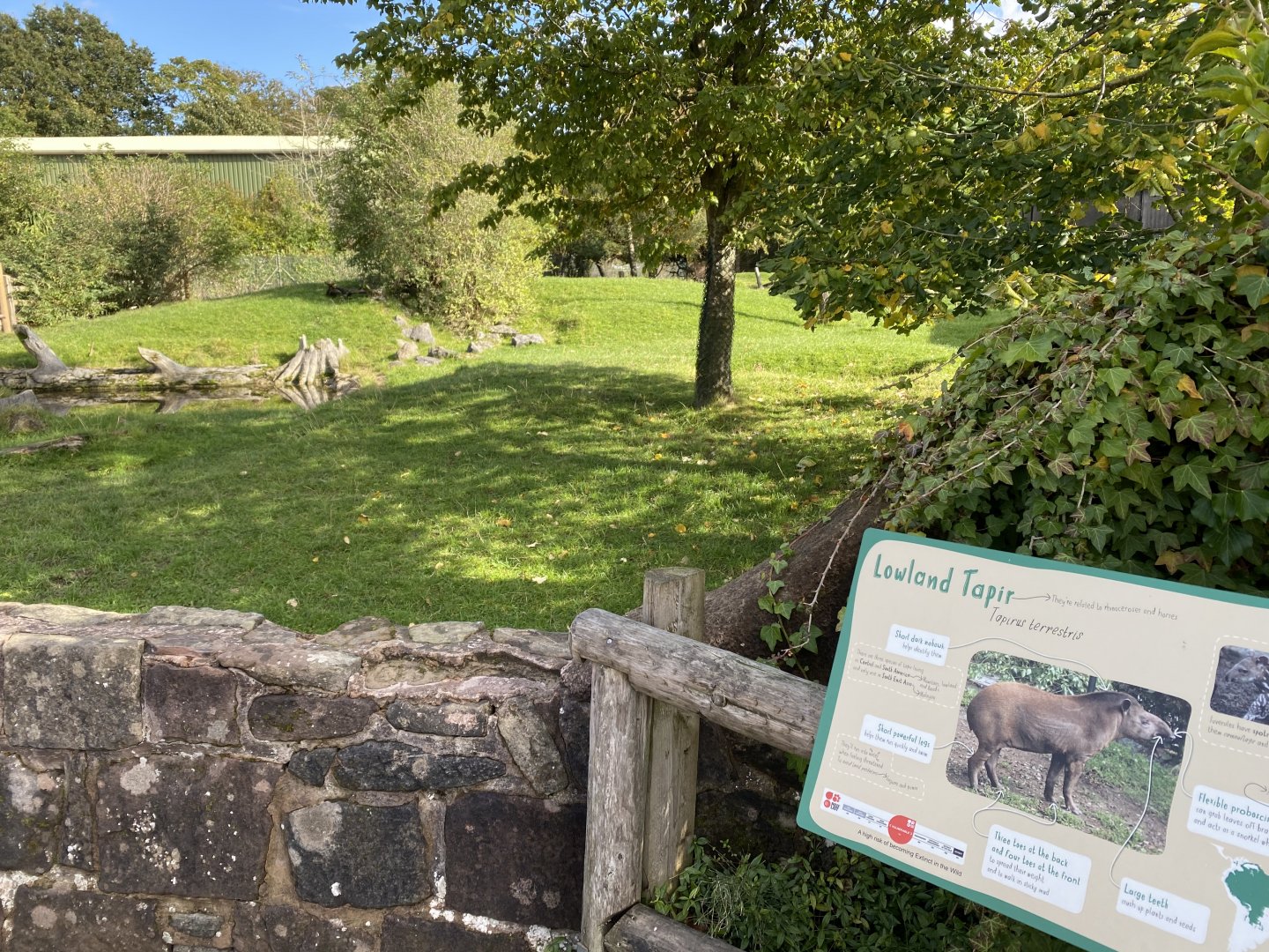 South American tapir enclosure 071020