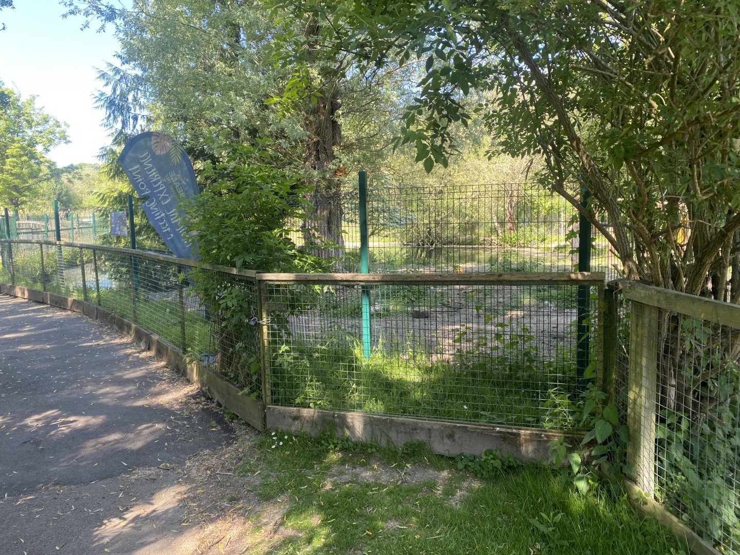 South American tapir enclosure 090525