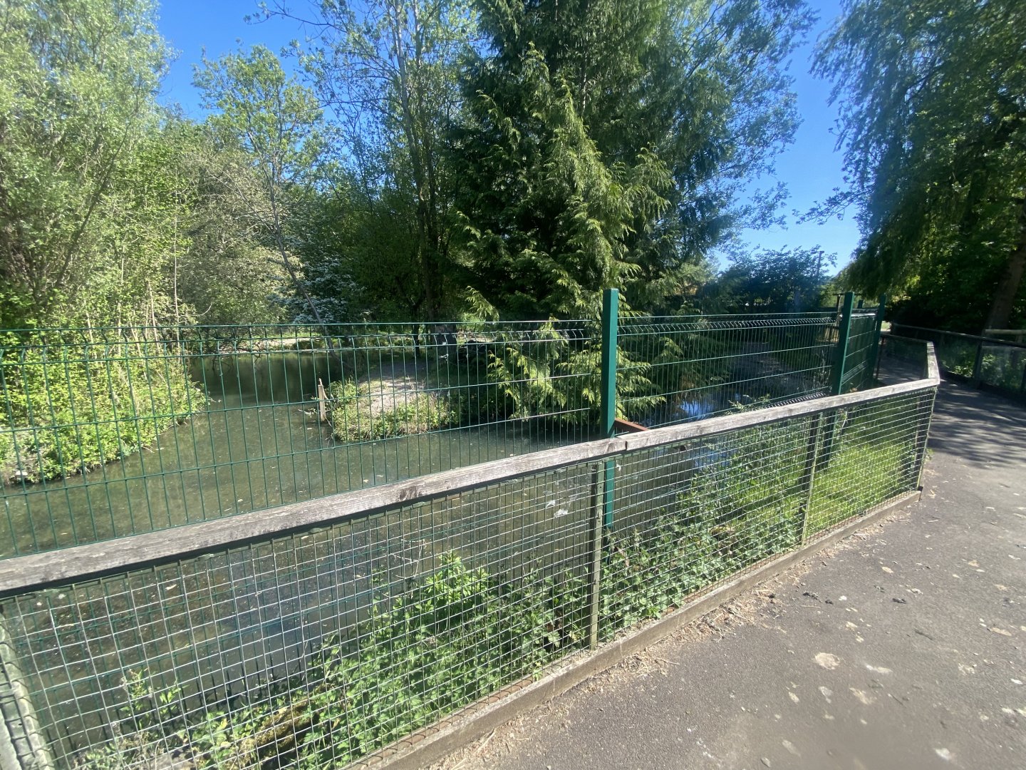 South American tapir enclosure 090525