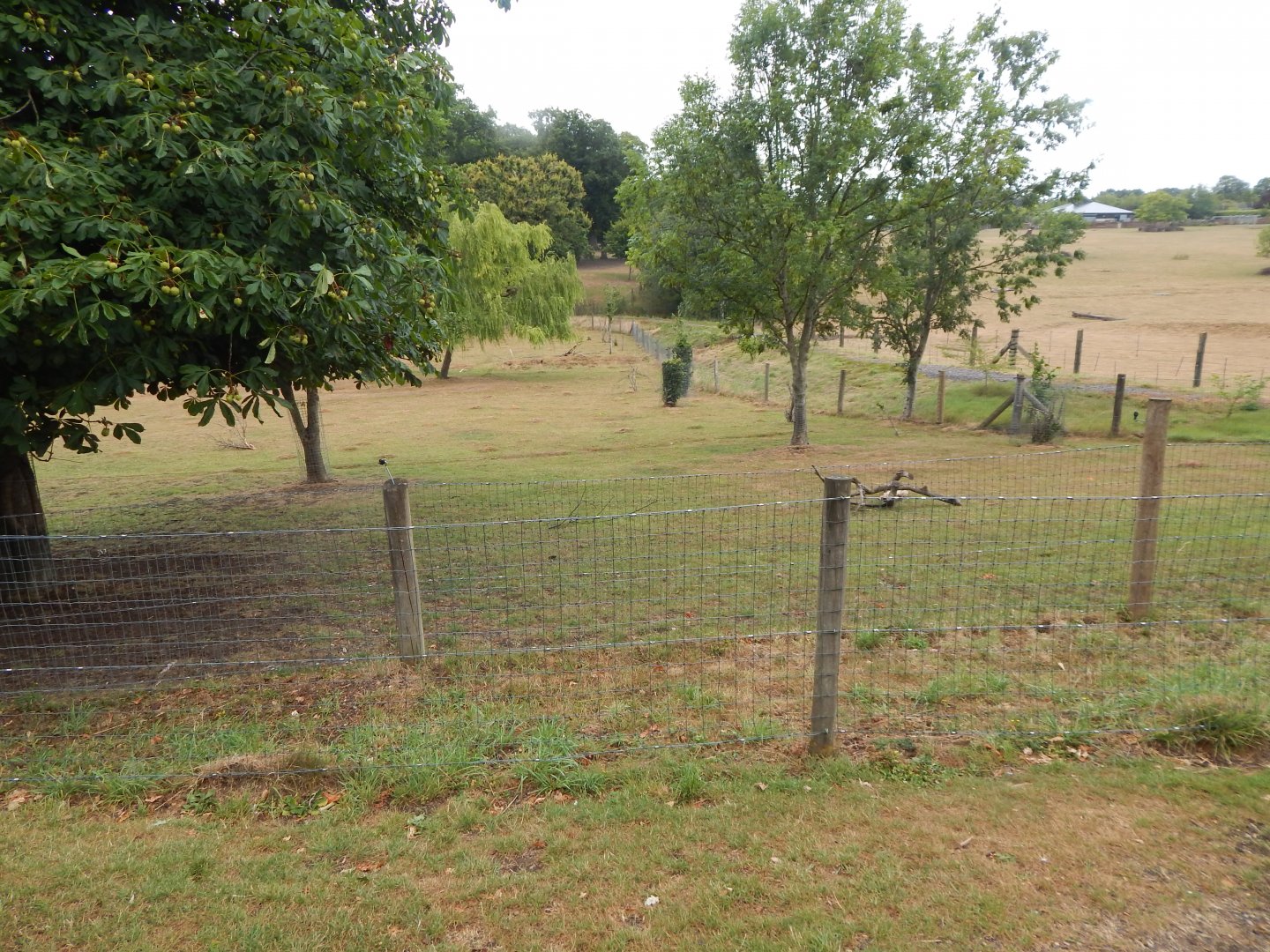 South American tapir enclosure 150725