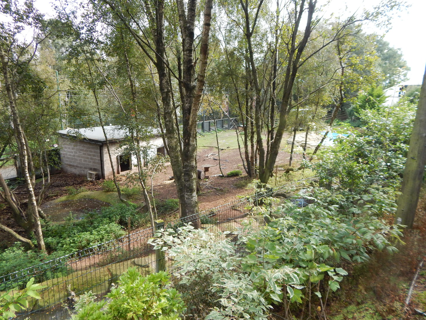South American tapir enclosure 200922