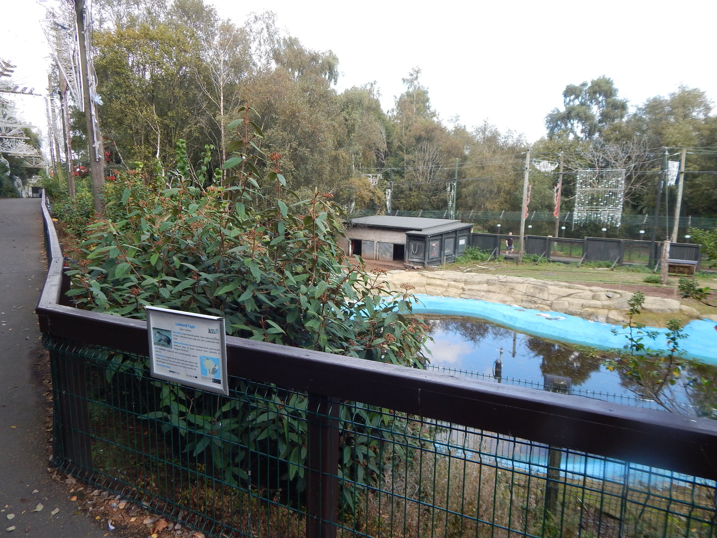 South American tapir enclosure 200922