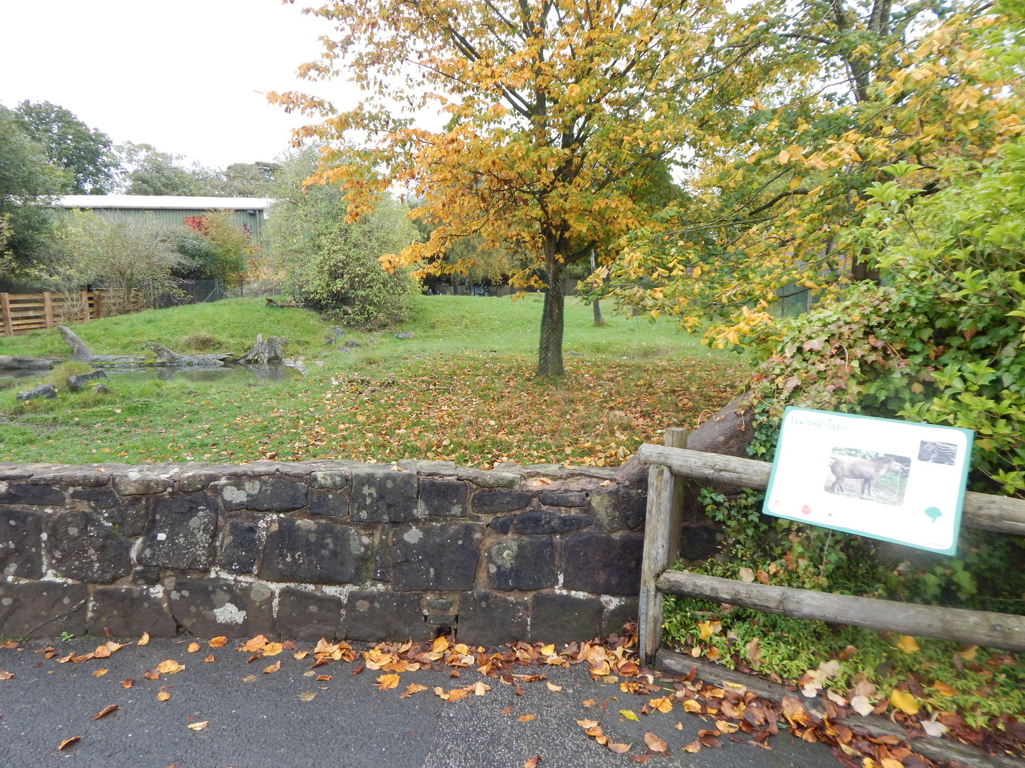 South American tapir enclosure 221022