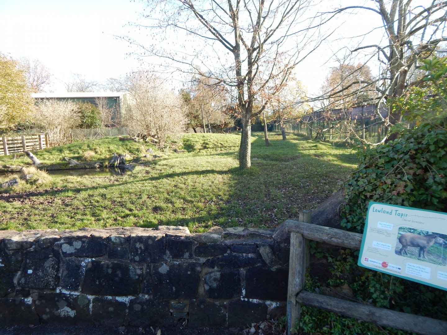 South American tapir enclosure 241123
