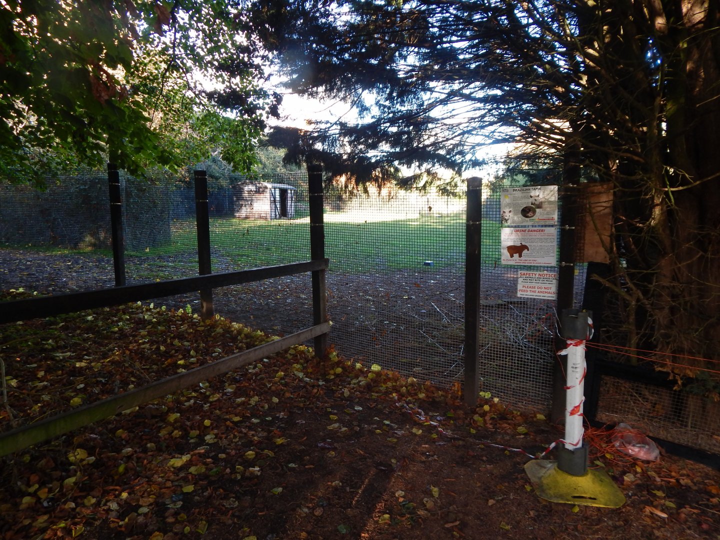 South American tapir enclosure no.2 011125