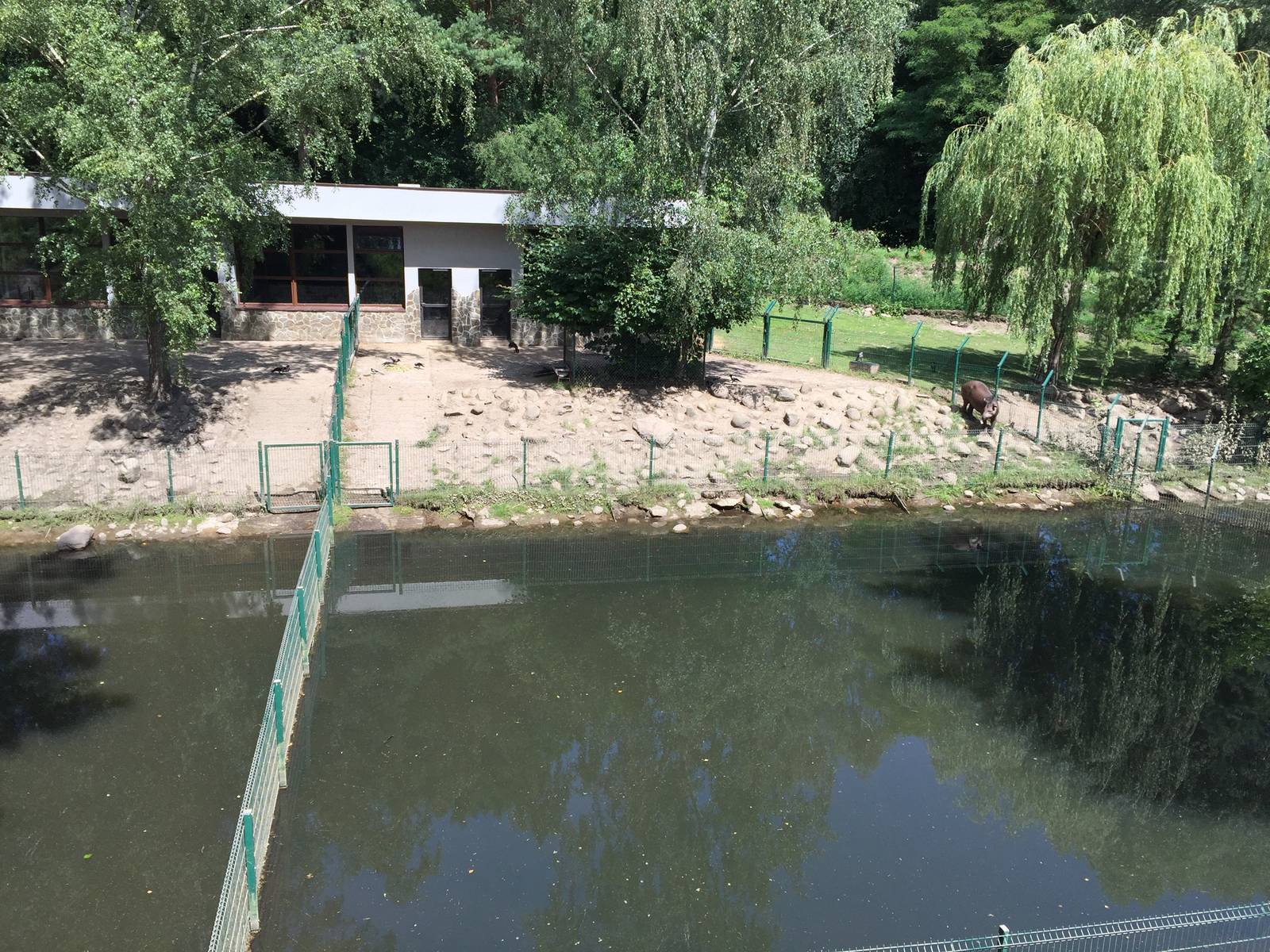 South American Tapir enclosure - Zoo Gdansk 20.07.16.