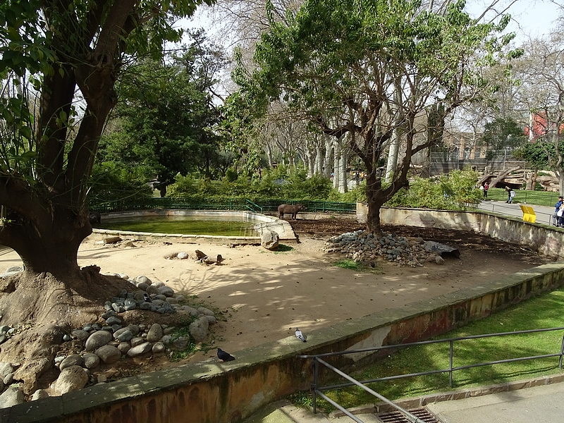 South American tapir enclosure