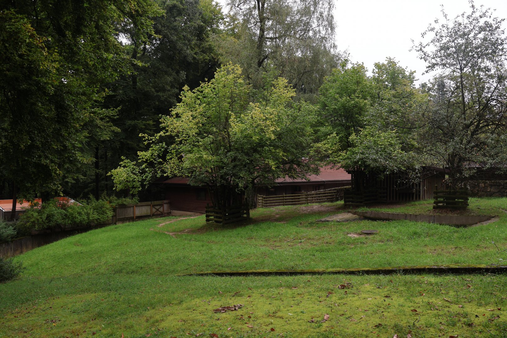 South American Tapir enclosure