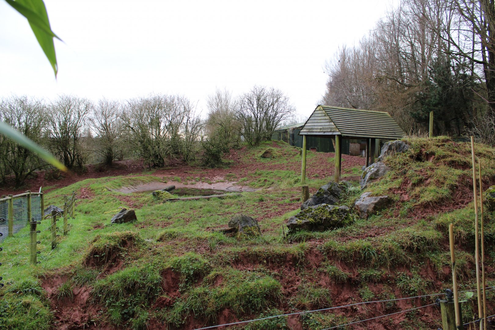 South American Tapir Enclosure