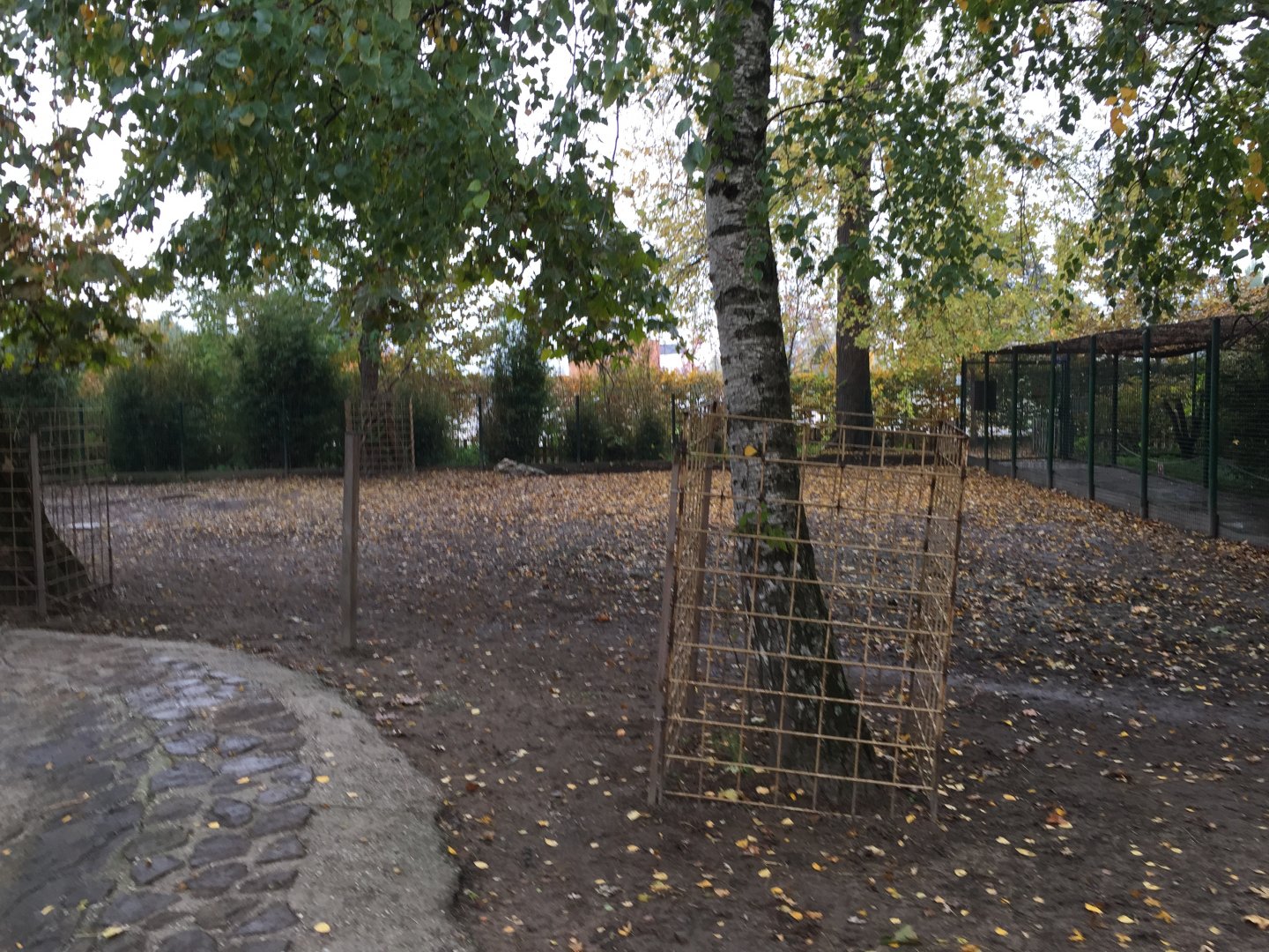 South american tapir exhibit 10.2020.