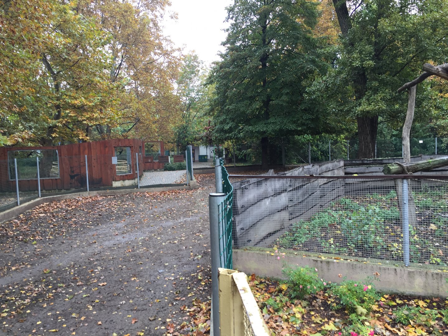 South American tapir exhibit 10.2020.