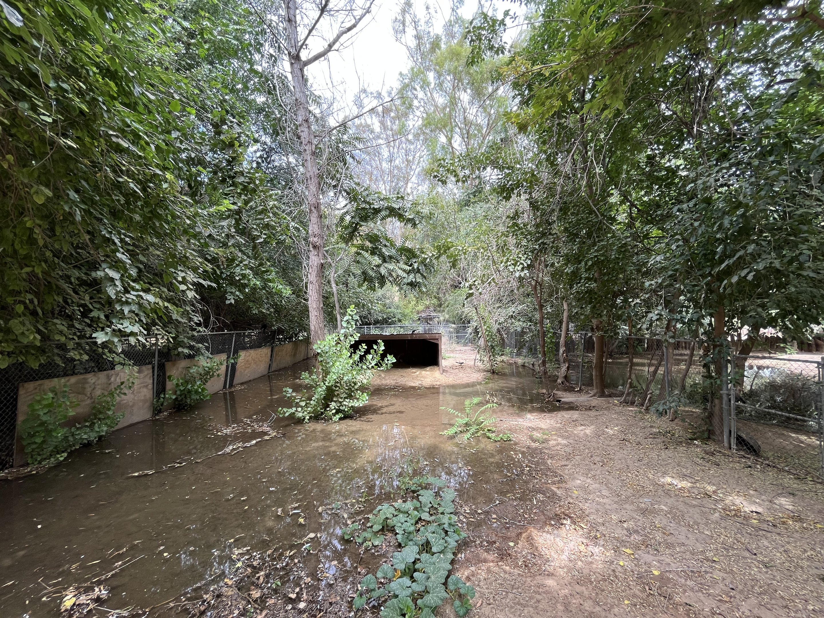 South American Tapir Exhibit - empty