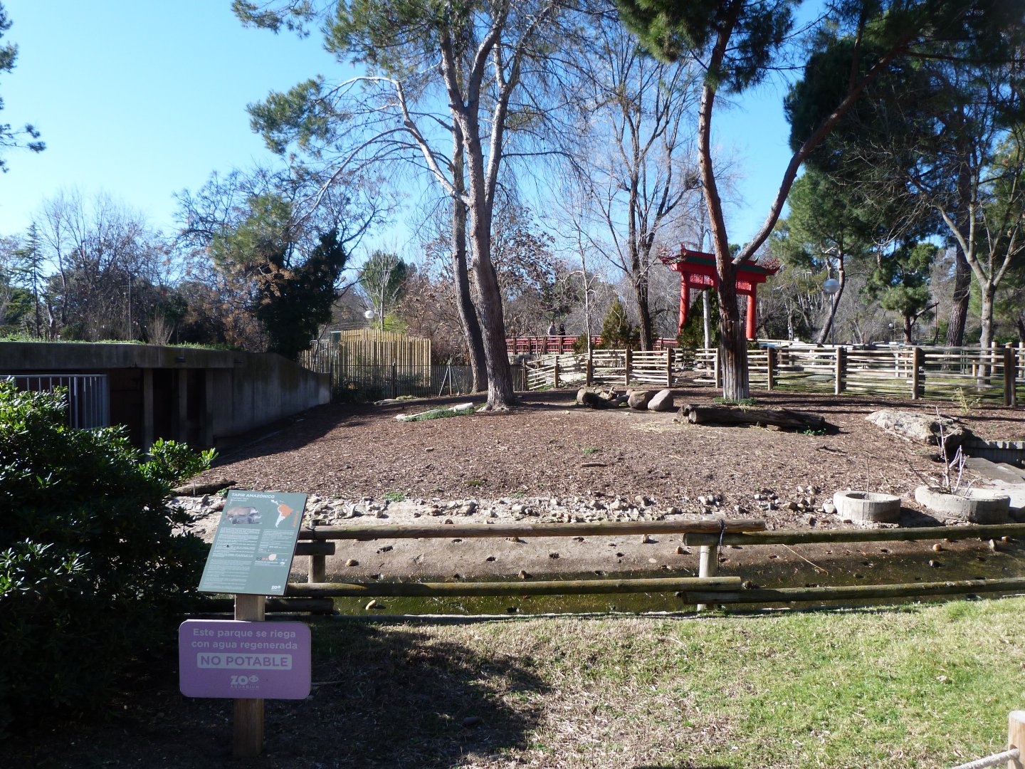 South American tapir exhibit -Zoo Aquarium de Madrid (2025)