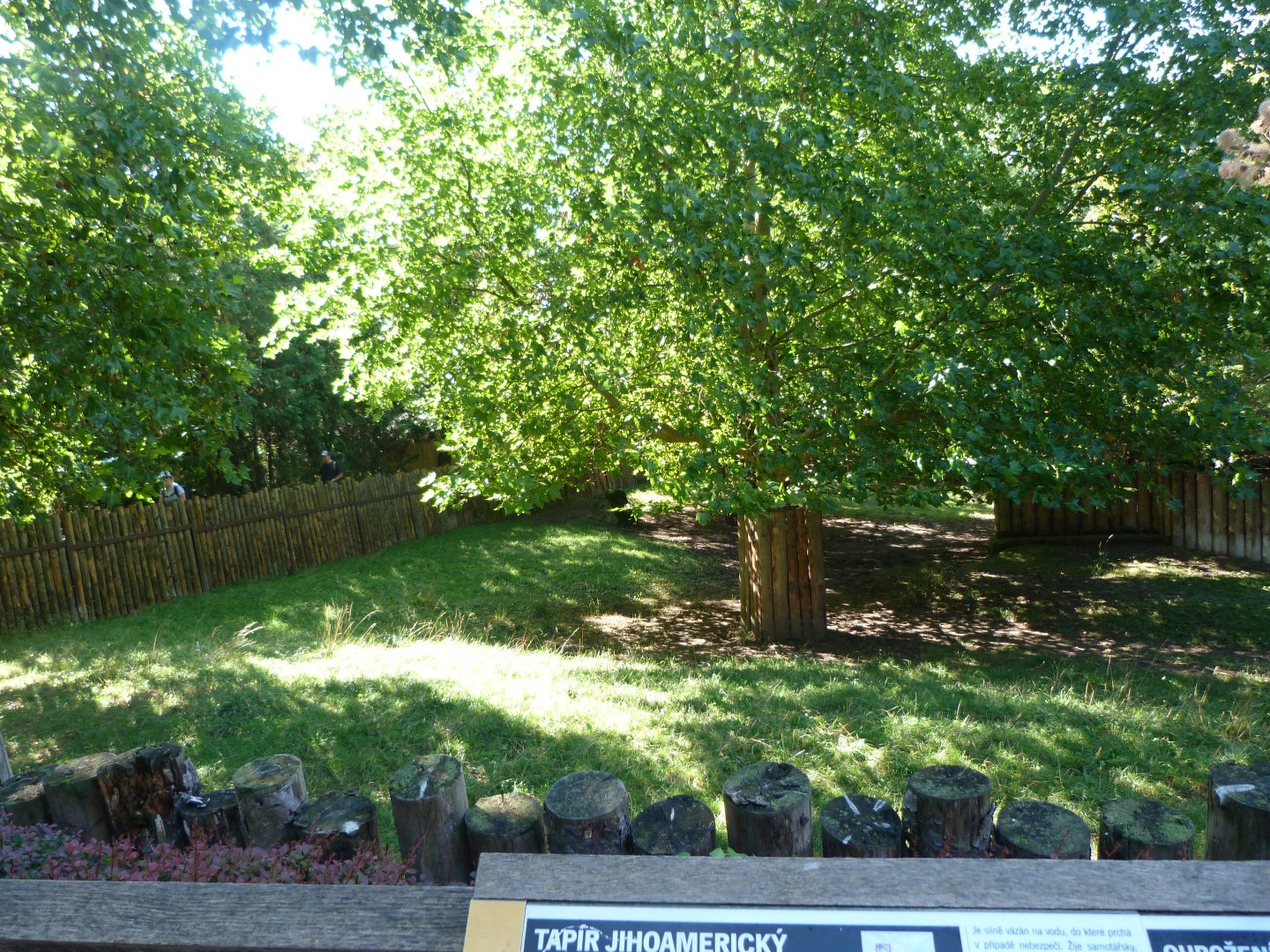 South American tapir exhibit -Zoo Praha (2025)