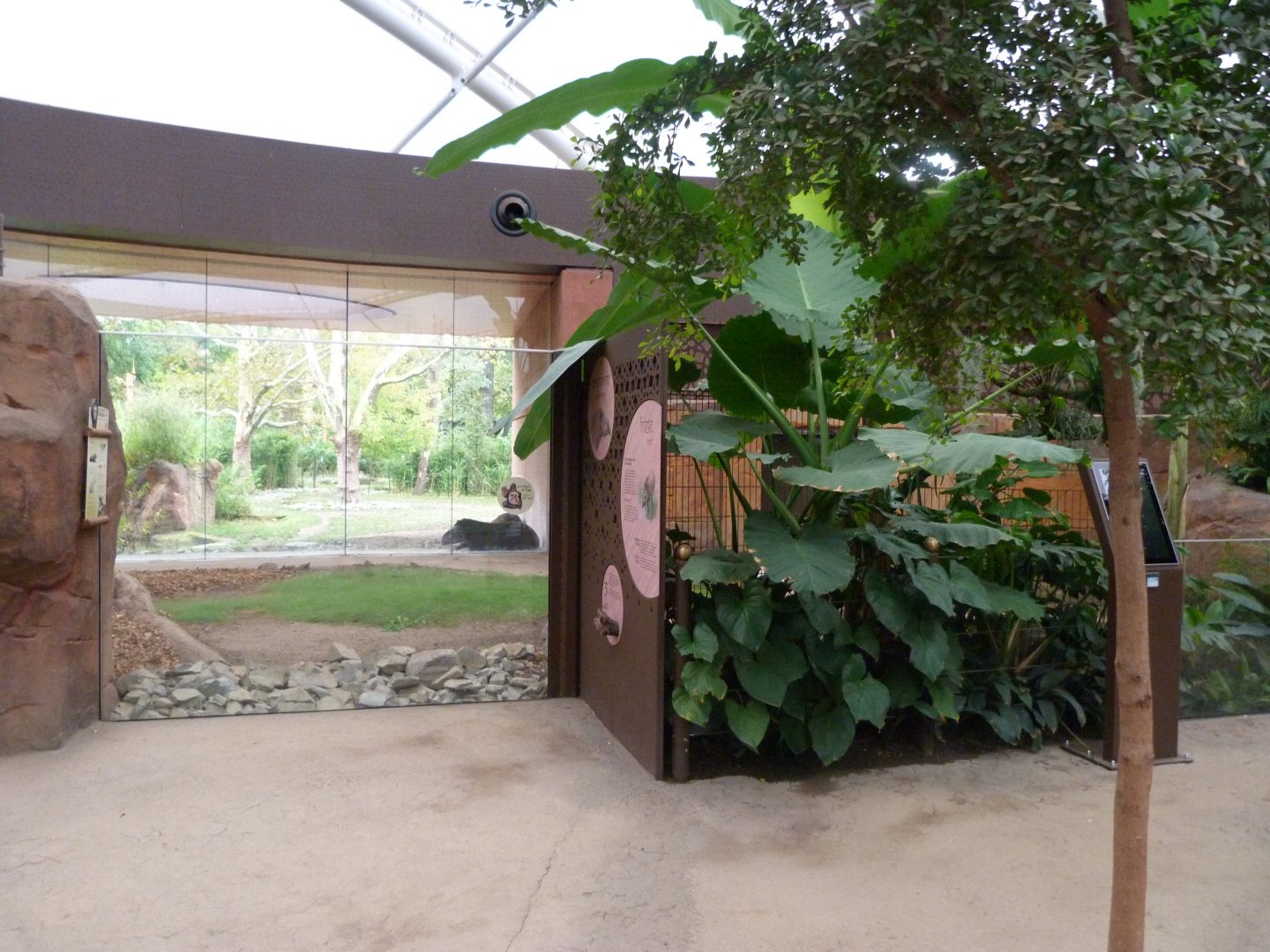 South American tapir exhibit -Zoologischer Garten Berlin (2024)