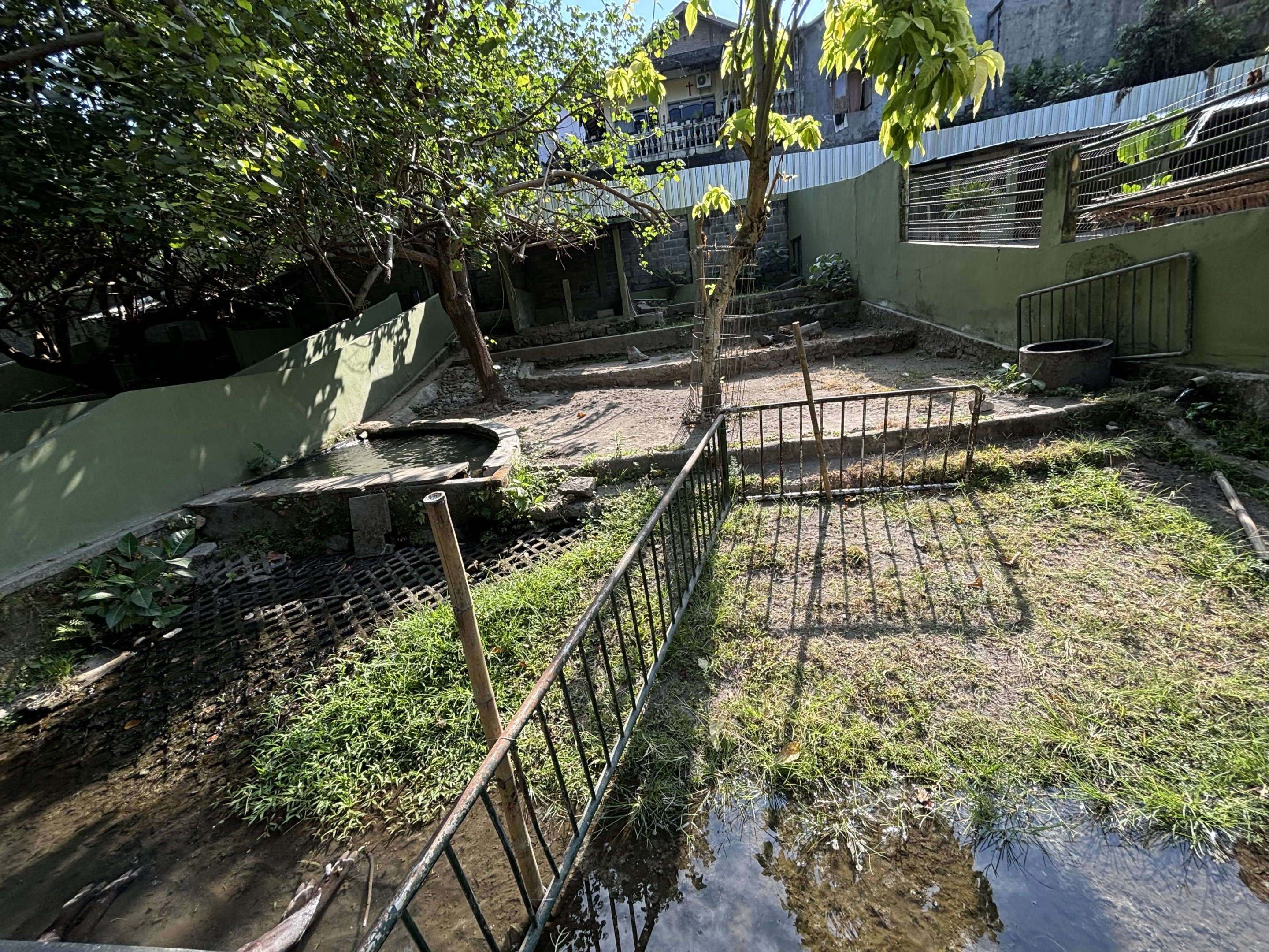 South American Tapir Exhibit