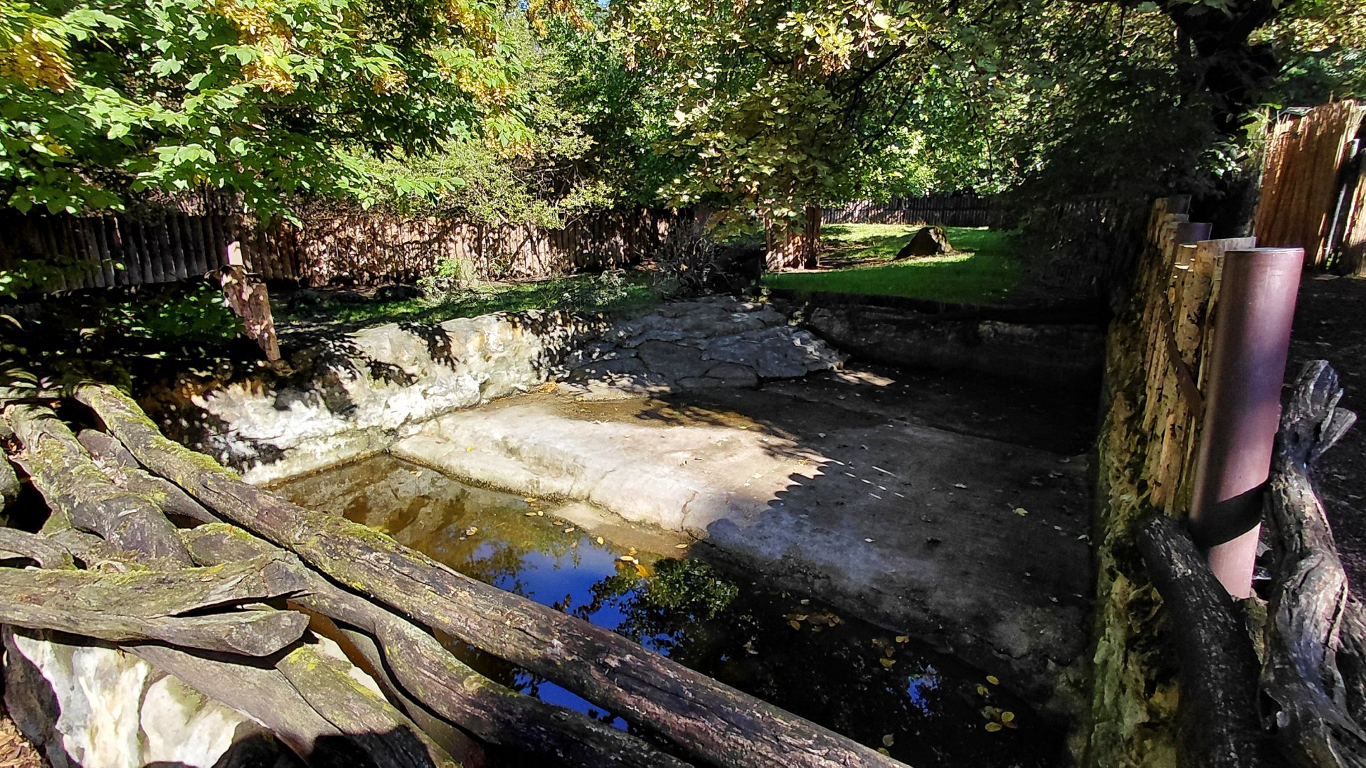 South American tapir exhibit