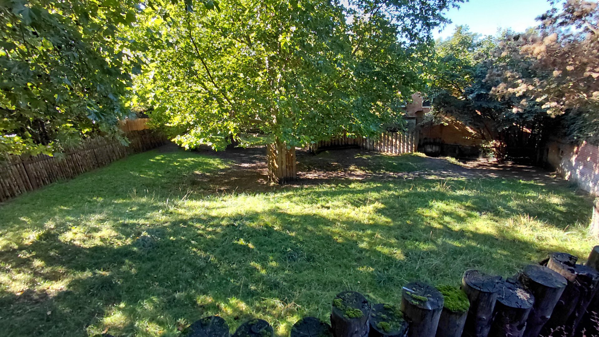 South American tapir exhibit