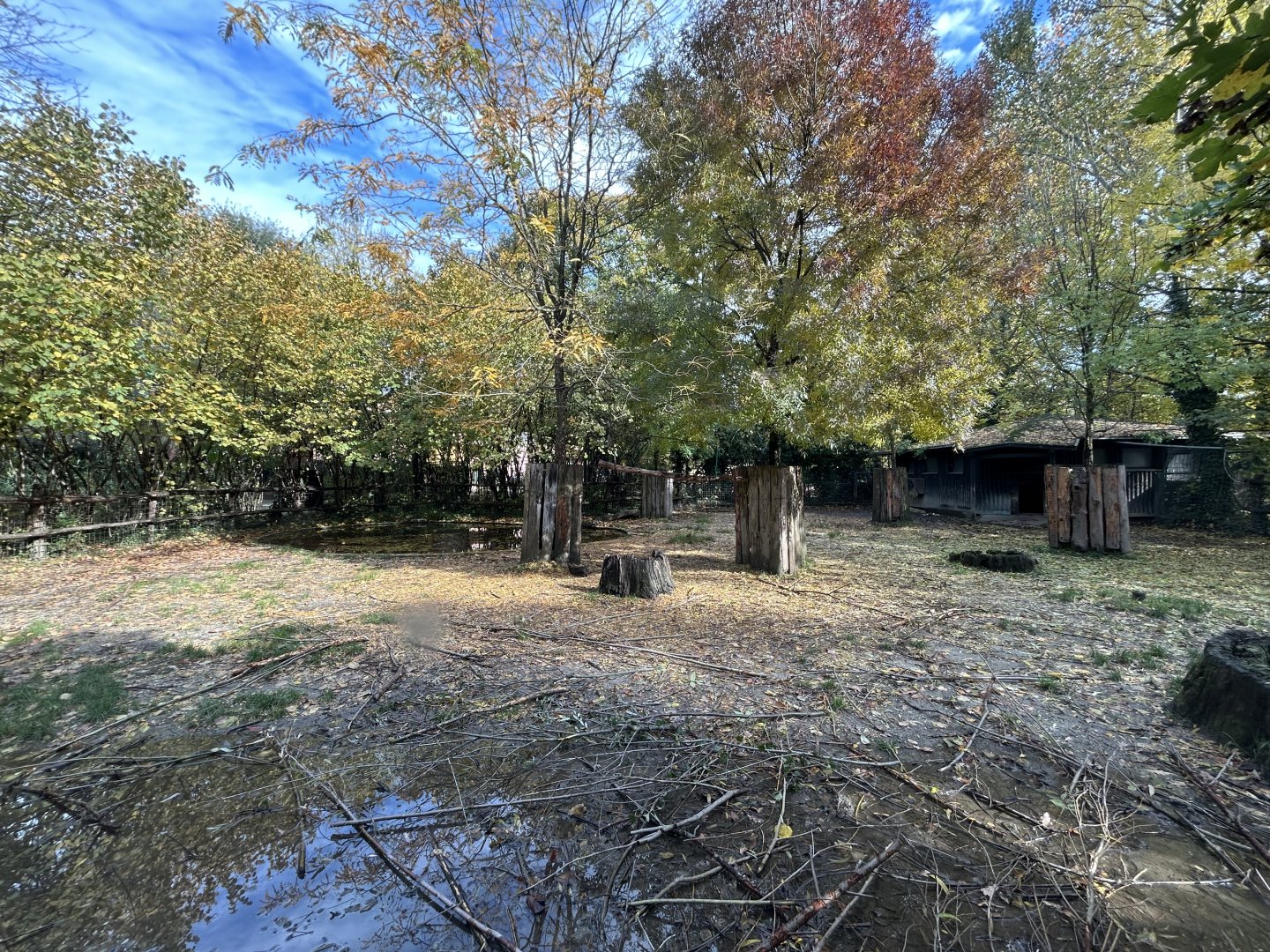 South American Tapir Exhibit
