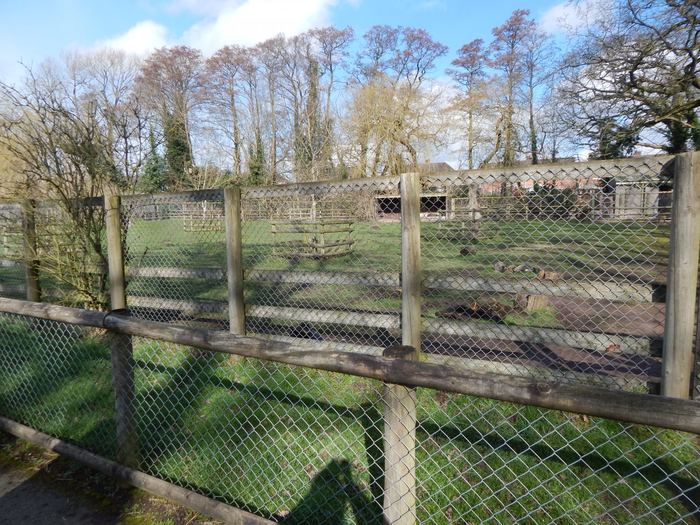South American tapir habitat 040324