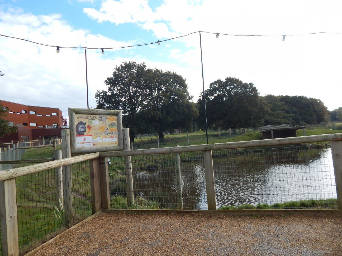 South American tapir habitat 121024