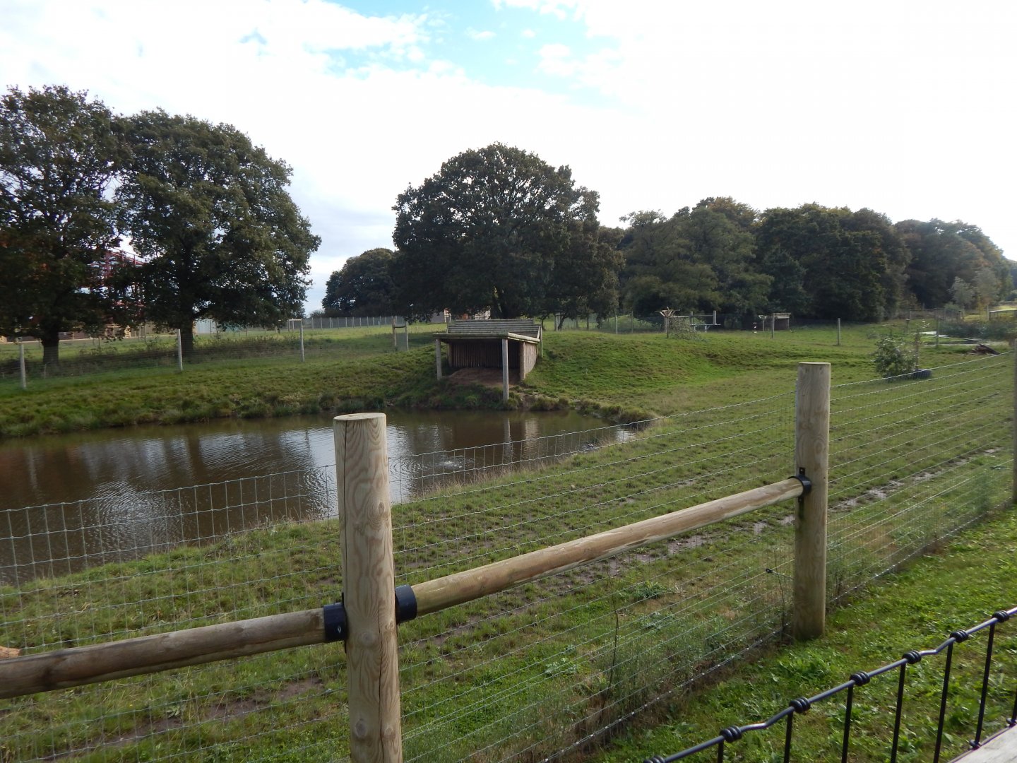 South American tapir habitat 121024