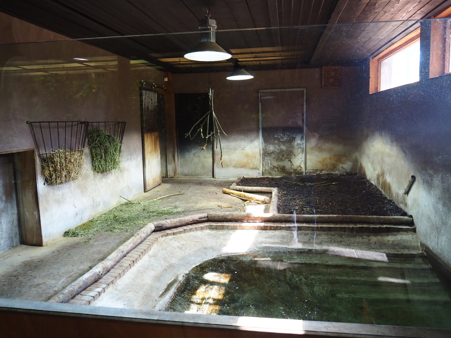 South American tapir indoor housing, 2019-03-30