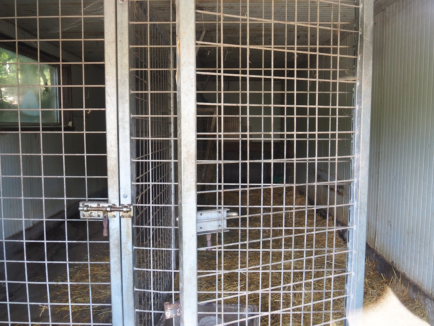 South American tapir indoor housing, 2023-06-24